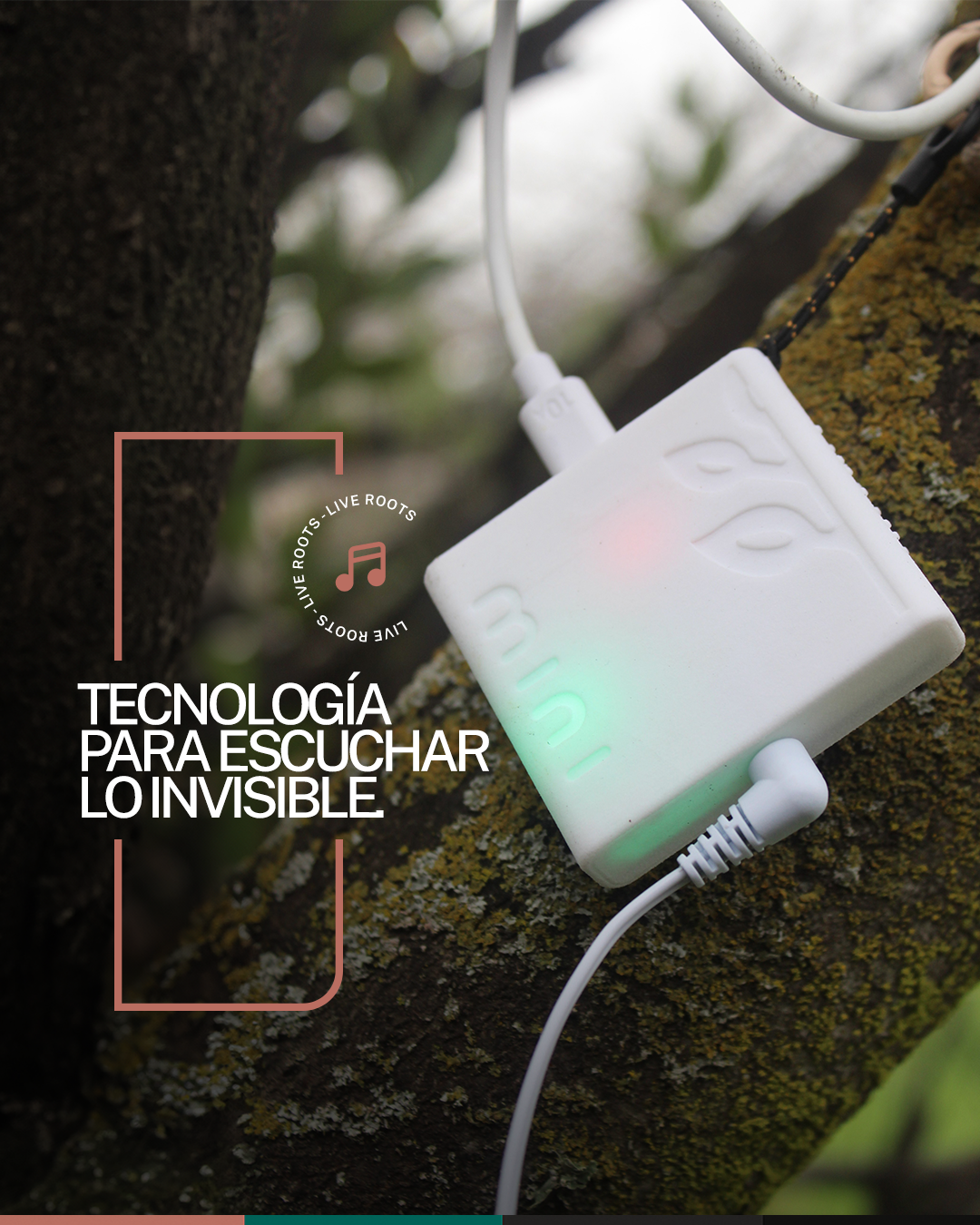 Tecnología para escuchar lo invisible